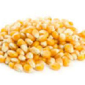 Meet your Posher, Og